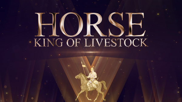 Kokpar. Horse King of Livestock